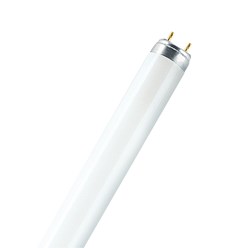 TL-buis LUMILUX® T8 LEDVANCE OS TL LAMP 3821-840 4050300518138
